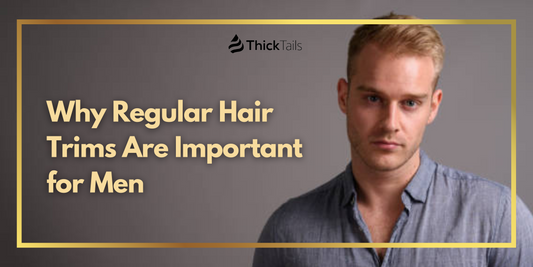 Regular Hair Trims for Men