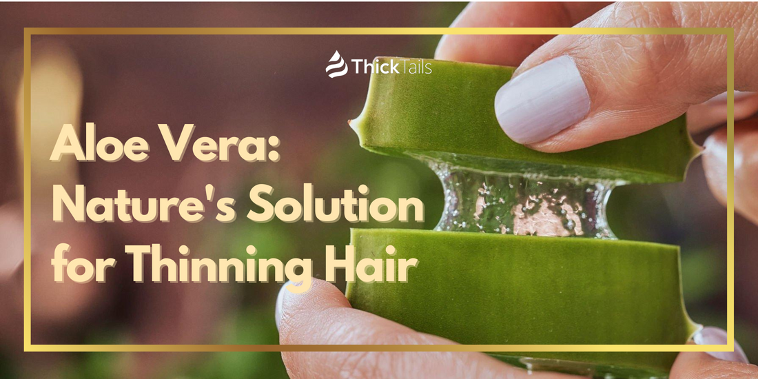 aloe vera for thinning hair