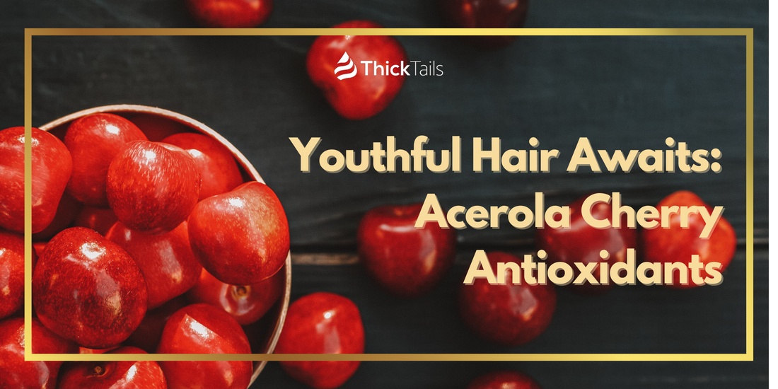 Acerola Cherry Antioxidants for hair growth