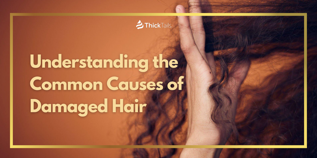 Common Causes of Damaged Hair