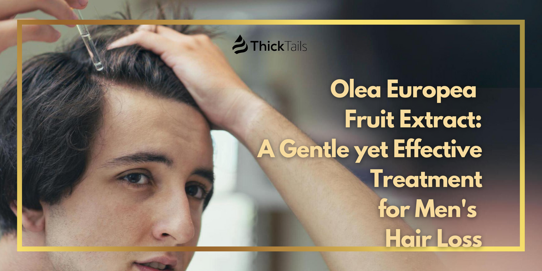 Olea Europea Fruit Extrac for Hair Loss