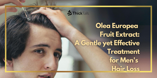 Olea Europea Fruit Extrac for Hair Loss
