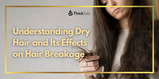 Dry Hair and Its Effects on Hair Breakage