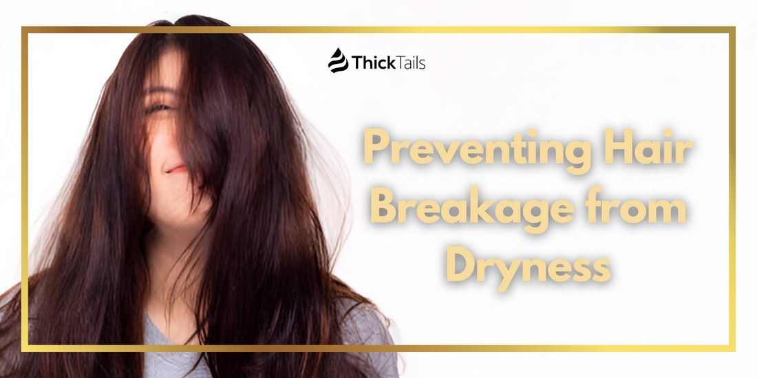 Hair Breakage from Dryness