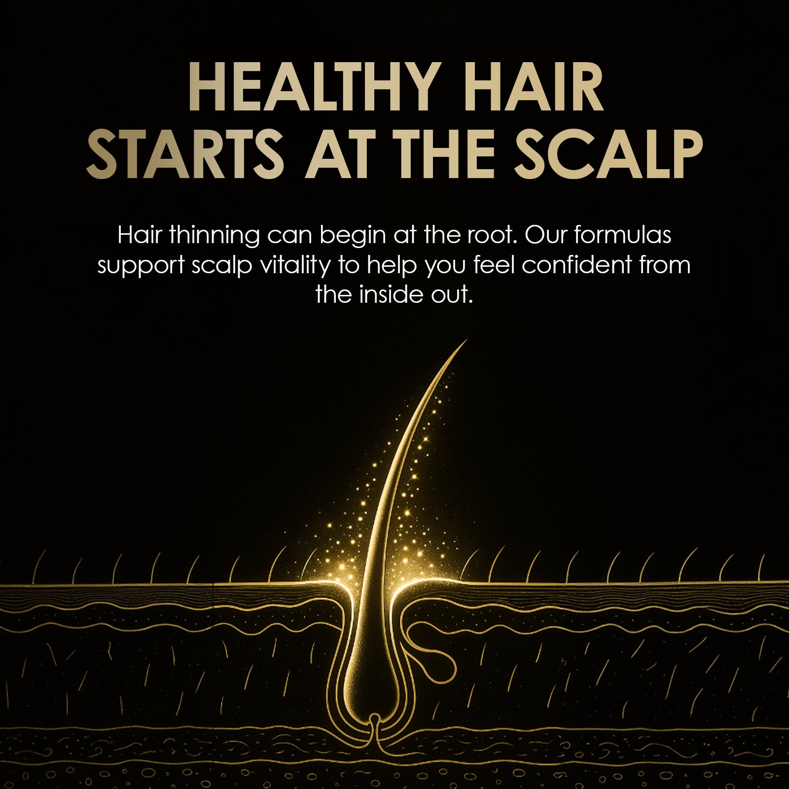 ThickTails Stimulating Hair Growth Shampoo & Conditioner | Dual Pack